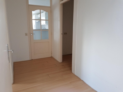 Appartement Ede - Hoorn