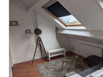 Huur 1 slaapkamer appartement van 30 m² in Maastricht