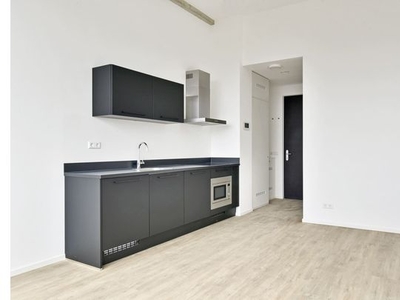 Huur 1 slaapkamer appartement van 32 m² in Arnhem