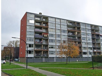 Huur 3 slaapkamer appartement van 63 m² in Schiedam