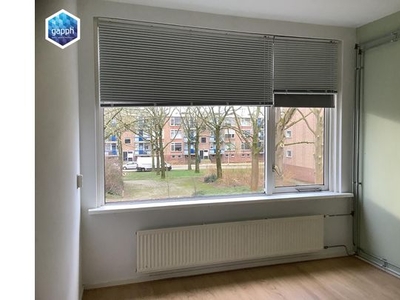 Huur 3 slaapkamer appartement van 72 m² in Zutphen