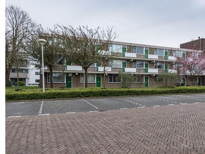 Kamer van 35 m² in Zwijndrecht