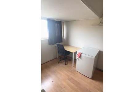 Studio van 35 m² in Rotterdam