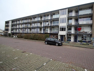 De Reiger in Hoogeveen (60m2)