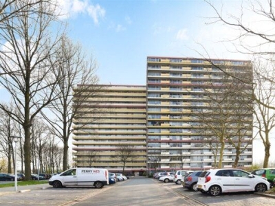 Oost-Dorsch in Zaandam (84m2)