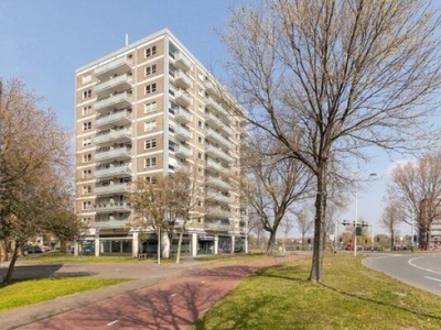 Prins Bernhardplein in Zaandam (31m2)