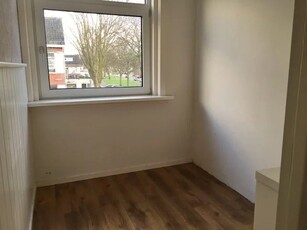 Appartement te huur Verboomstraat, Rotterdam