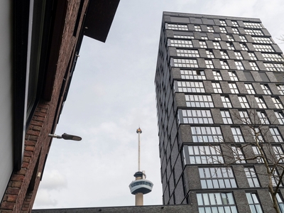 Appartement in Rotterdam met 3 kamers