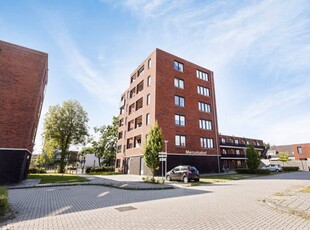 Appartement in Assen met 3 kamers