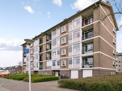 Appartement te huur in Eindhoven