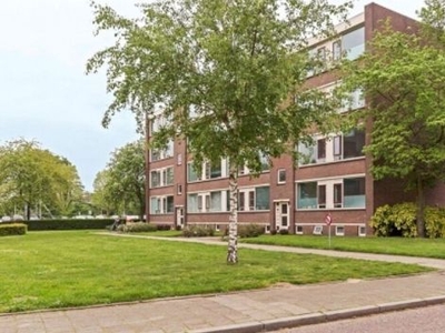 Aubadestraat in Nijmegen (61m2)