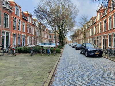 Benedenwoning Verlengde Nieuwstraat, Groningen huren?