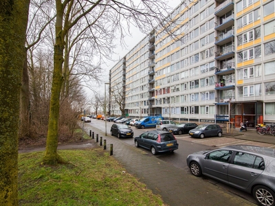 Dommeringdreef in Utrecht (53m2)