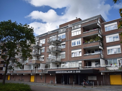 Genovevalaan in Eindhoven (40m2)