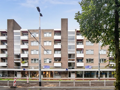 Ir J.P. van Muijlwijkstraat 194