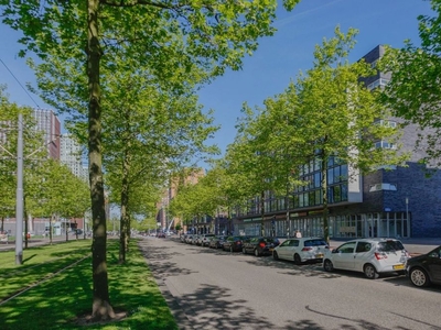 Laan op Zuid in Rotterdam (96m2)