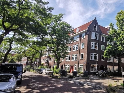 Nepveustraat in Amsterdam (60m2)