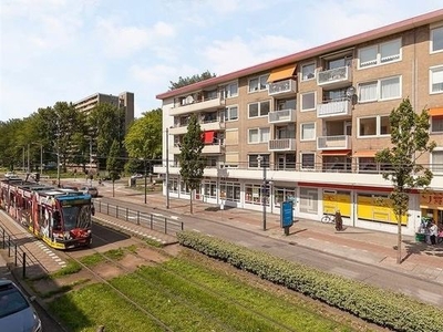 Tussen Meer in Amsterdam (85m2)