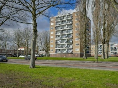 Zuidervaart in Zaandam (63m2)