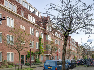 Henriëtte Roland Holststraat 100