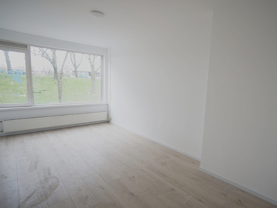 Appartement te huur Schiedamseweg Beneden, Rotterdam