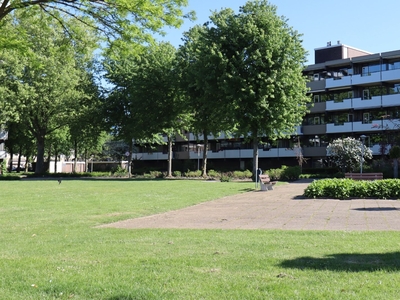 Graaf Adolfstraat in Eindhoven (100m2)