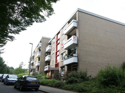 Palmstraat 8