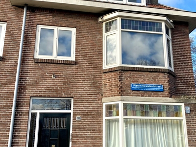 Pieter Nieuwlandstraat 110 *3