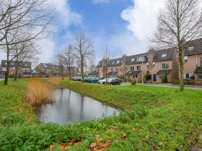 Schapenhoeve 3