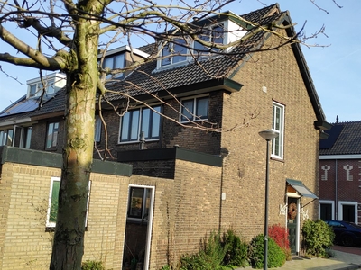 Anna Paulownastraat 1