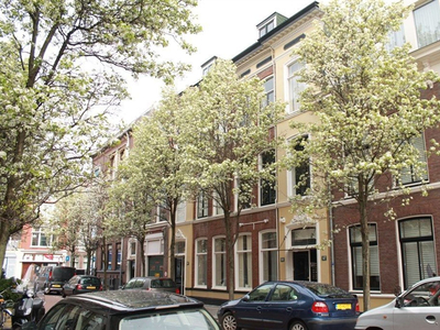 Kamer te huur Bilderdijkstraat, Den Haag