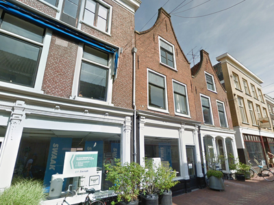 Klimmende Leeuwsteeg in Leiden (46m2)