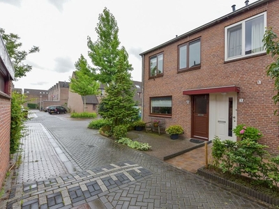 Koraalzwam in Alphen aan den Rijn (102m2)