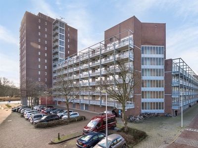 Roodborststraat 52