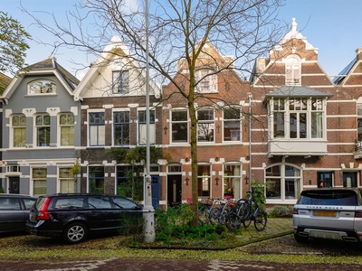 Van Breestraat 46