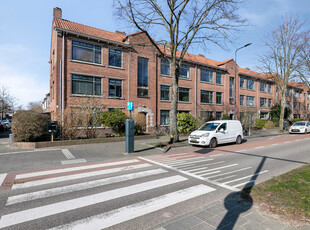 Burggravenlaan 81