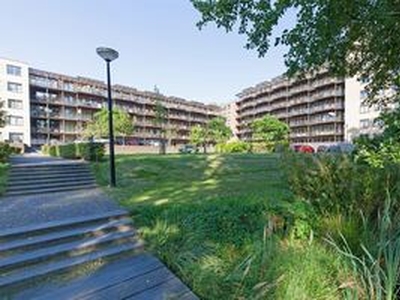 Benedenwoning te huur in Alkmaar