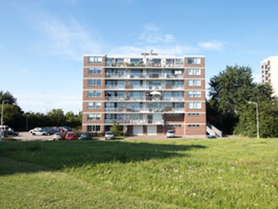 Portiekflat (appartement) te huur in Terneuzen