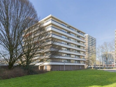 Donau in Amstelveen (55m2)