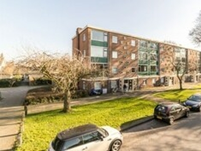 Appartement te huur in Alkmaar