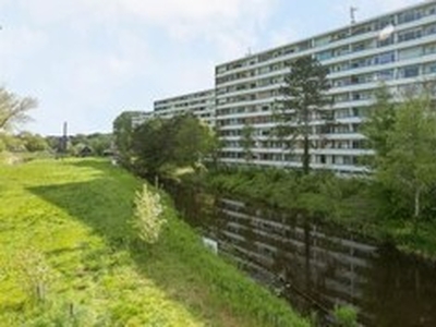 Appartement te huur in Alkmaar