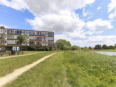 Beekmanstraat in Dordrecht (42m2)