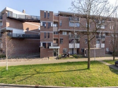 Hollandsch Diep in Zaandam (103m2)