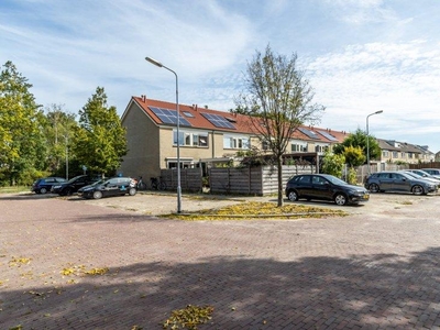 Papisland 10 Ik wil huren