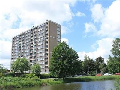 Van Lenneplaan in Groningen (80m2)