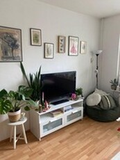 Apartment te huur in Groningen