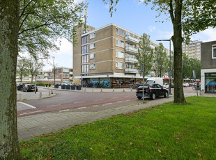 Frankrijklaan 51