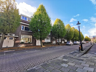 Herensingel 137