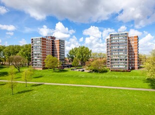 Schiedam - Havendijk