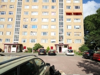 Appartement te huur in Leiden